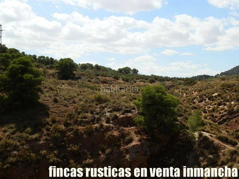 Foto 32d25f28-581b-4c07-a5b0-fc342eb92b1f. Finca rústica a Cabra del Santo Cristo