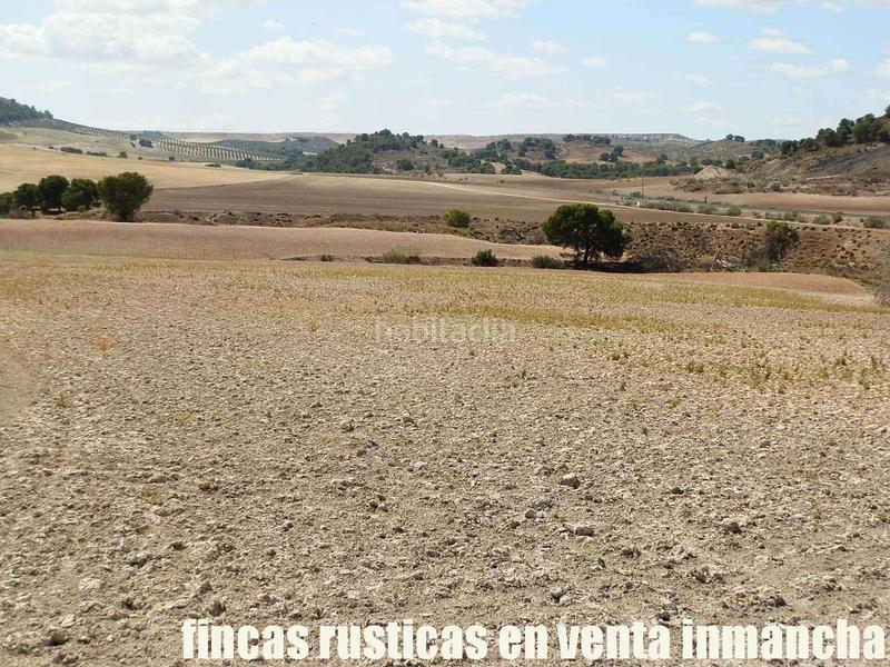 Foto 64e13b4d-4f84-4b62-ad92-9040448a2840. Finca rústica a Cabra del Santo Cristo