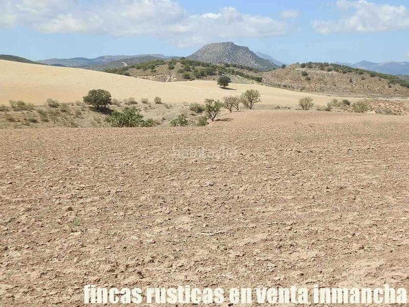 Foto 68f93583-79e1-4caa-bbbb-1a7361bd9dba. Finca rústica a Cabra del Santo Cristo