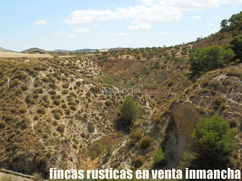 Foto 6ae6cc7f-5b7c-4aff-8dbe-e111ff4297f7. Finca rústica a Cabra del Santo Cristo