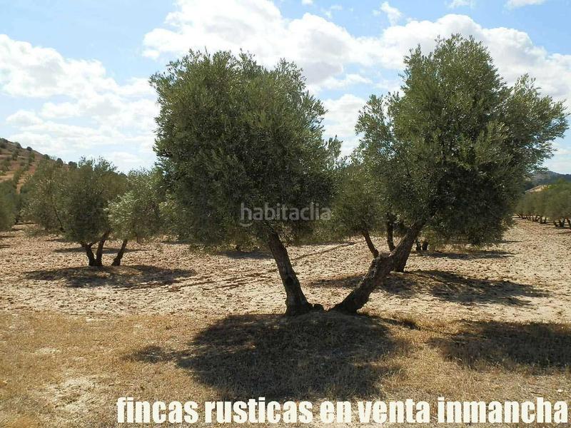 Foto 80dde553-e003-4dae-baef-8f63513b57c3. Finca rústica a Cabra del Santo Cristo