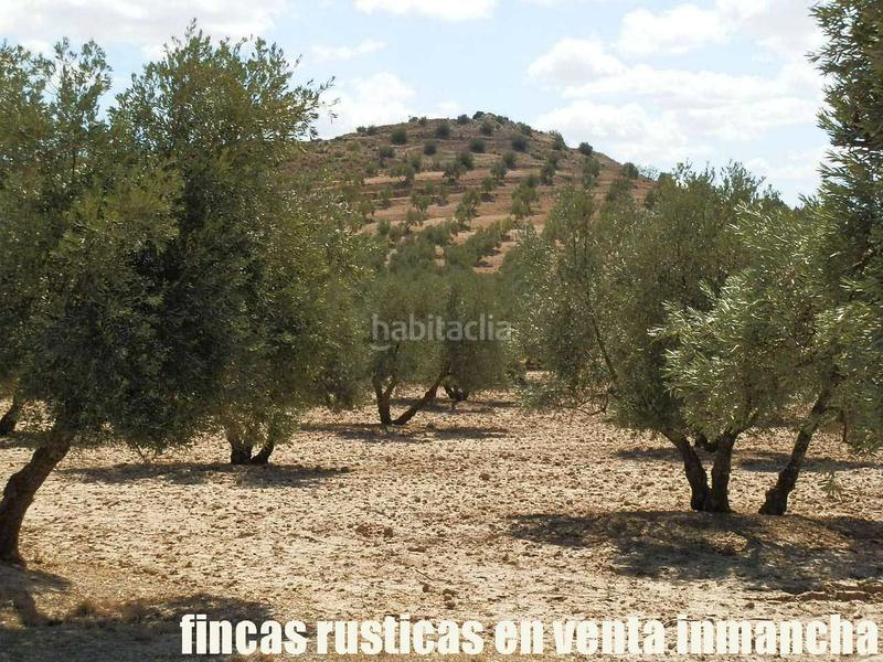 Foto 94477997-c998-41c1-9b1c-6fd516327190. Finca rústica a Cabra del Santo Cristo