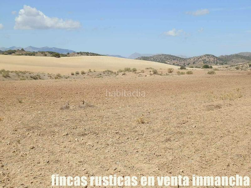 Foto adfb595a-8a56-4536-a2b4-e8e60da064da. Finca rústica a Cabra del Santo Cristo