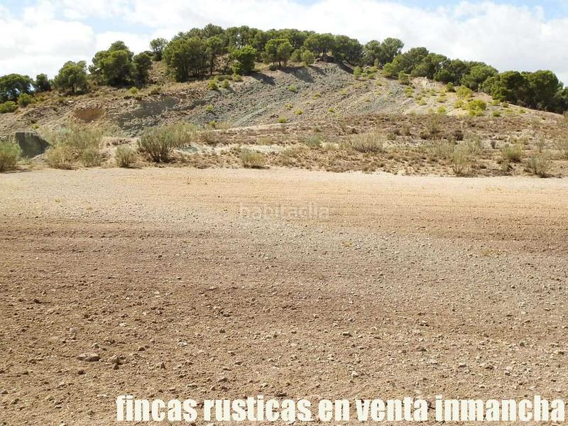 Foto b3cbbeaf-9271-453e-a9db-f4c60d61fe5b. Finca rústica a Cabra del Santo Cristo