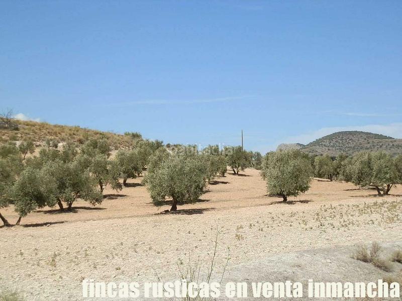 Foto b5267cde-6b33-4494-8041-06781a7bc822. Finca rústica a Cabra del Santo Cristo