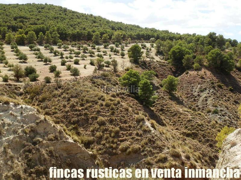 Foto c51b4fdb-ab05-44e4-af53-7e0a6d2a5f10. Finca rústica a Cabra del Santo Cristo