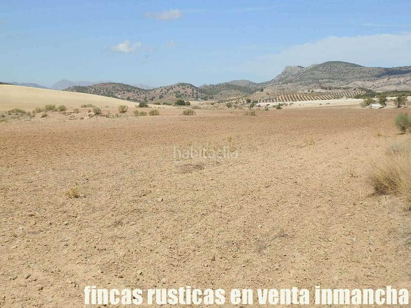 Foto e927ece8-99ae-4d99-8e6d-10469b918ade. Finca rústica a Cabra del Santo Cristo