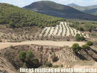 Finca rústica a Cabra del Santo Cristo. Finca en venta labor secano olivar monte caza en jaén