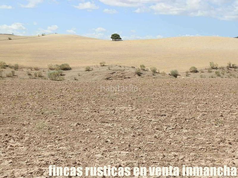 Foto f71210bc-919d-42c5-b708-c59d4e057fa4. Finca rústica a Cabra del Santo Cristo