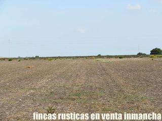 Finca rústica a Virgen del Mar. Finca en venta labor regadío en cadiz