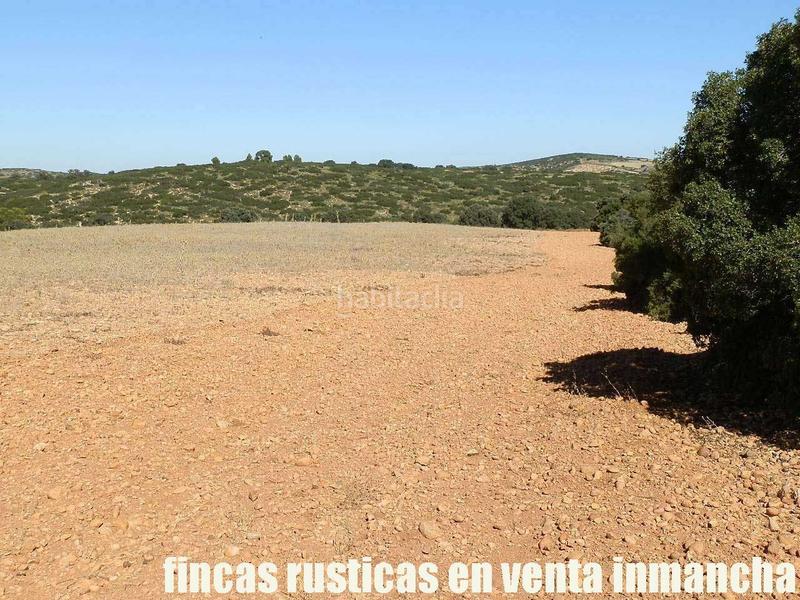 Foto 0586dd91-7eb7-43c5-9fdd-4c9007d241b2. Finca rústica a San Antonio Abad Albacete