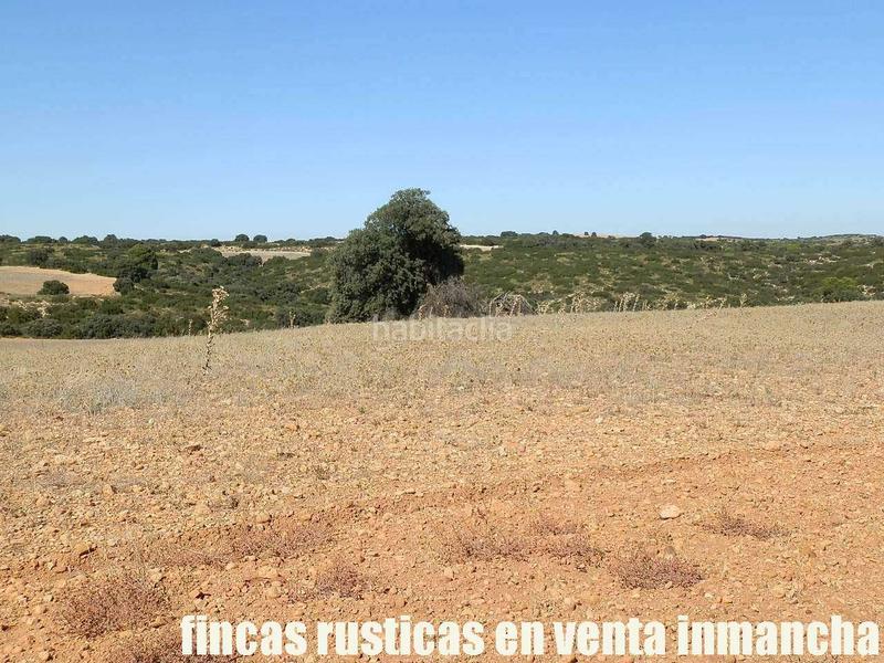 Foto 08e3ca56-37ed-4f4f-8d8b-17175dcc4ebf. Finca rústica a San Antonio Abad Albacete