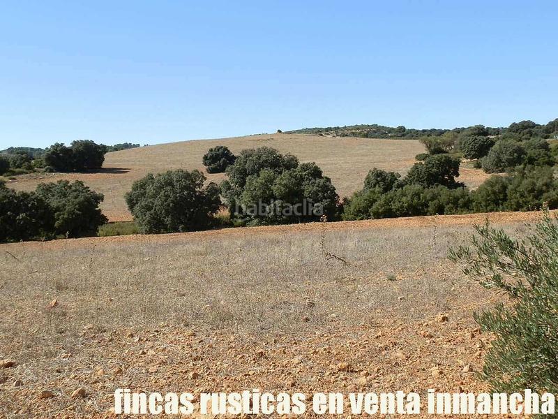 Foto 18f363c4-e9a9-45a0-ab4e-6948b7729d26. Finca rústica a San Antonio Abad Albacete