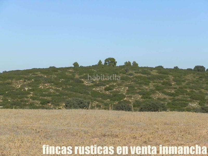 Foto 2469ca7c-15cf-49b4-9a72-7147f866affa. Finca rústica a San Antonio Abad Albacete