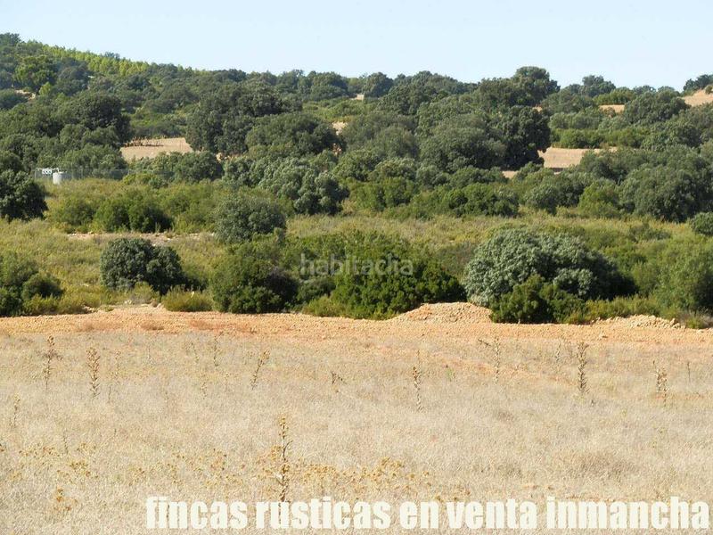 Foto 47c7acfb-98b1-4cce-8ded-c0940789810d. Finca rústica a San Antonio Abad Albacete