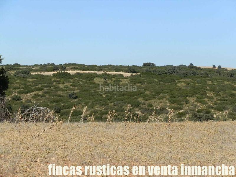 Foto 4ee5bd36-1294-4ad0-b01a-eb65844c4442. Finca rústica a San Antonio Abad Albacete