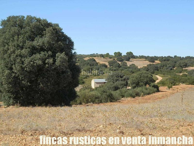 Foto 5340e8bf-2317-4b2e-b220-00ecd45018e1. Finca rústica a San Antonio Abad Albacete