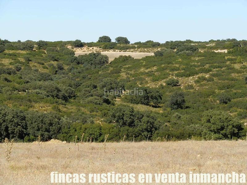 Foto 6231fc32-cb20-49b5-887c-2573a14b2912. Finca rústica a San Antonio Abad Albacete