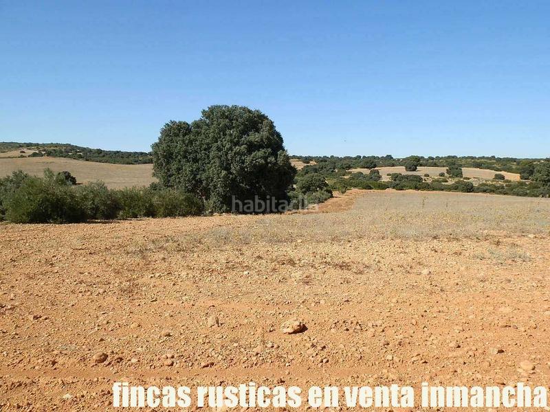 Foto 6850228e-eaf3-41ae-9c38-c78c06de937c. Finca rústica a San Antonio Abad Albacete