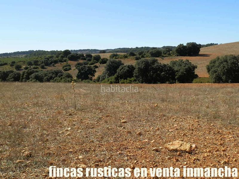 Foto 6a1a4fe7-a8ae-4b81-8115-5c32cf42060a. Finca rústica a San Antonio Abad Albacete
