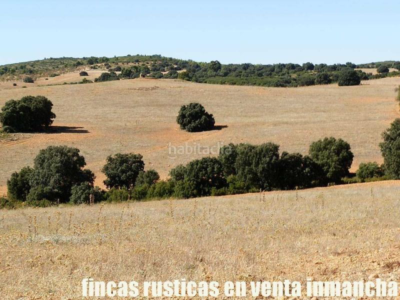 Foto 7d273bae-e0d8-42f1-bacb-c8527ee388f8. Finca rústica a San Antonio Abad Albacete