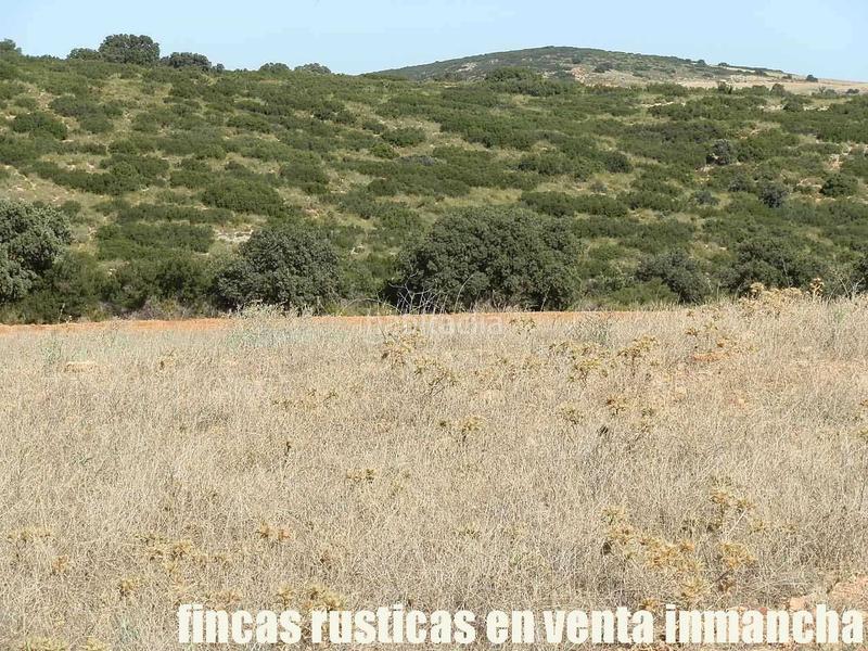 Foto 86d9877d-8c64-43b1-95d3-ba46094c4439. Finca rústica a San Antonio Abad Albacete