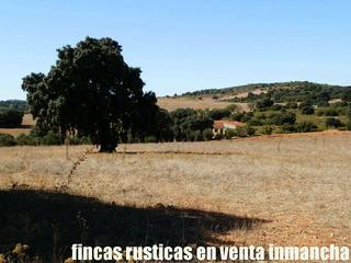 Landgut in San Antonio Abad. Finca en venta labor secano monte caza menor en albacete