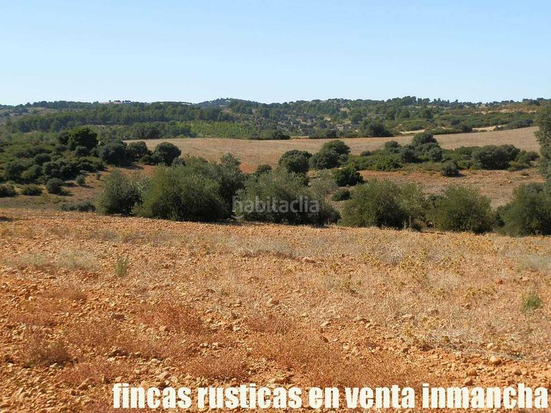 Foto 97127023-8df8-4b5c-b289-7f0c425731ed. Finca rústica a San Antonio Abad Albacete