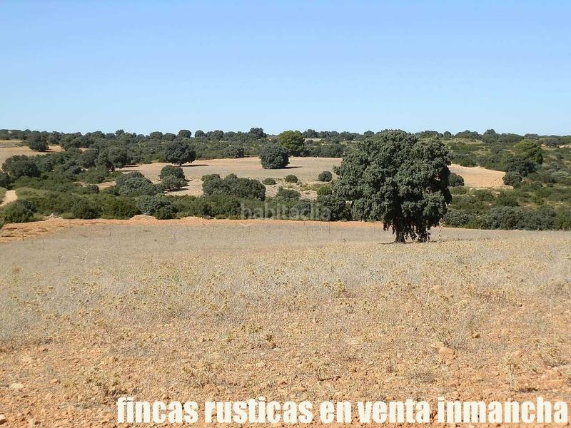 Foto a62ec350-7741-4816-988a-4b1ce6f8cb46. Finca rústica a San Antonio Abad Albacete
