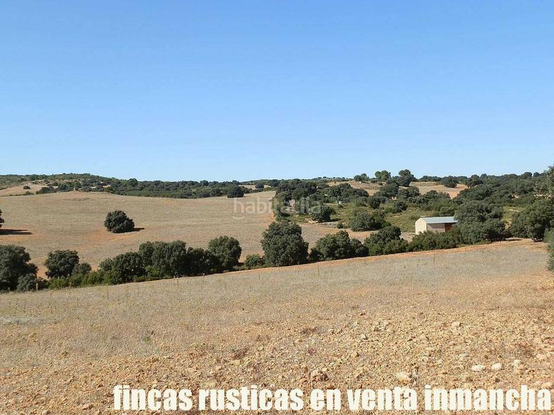 Foto cbf03f0f-fb0b-4c23-ac82-fb40e36dfd00. Finca rústica a San Antonio Abad Albacete