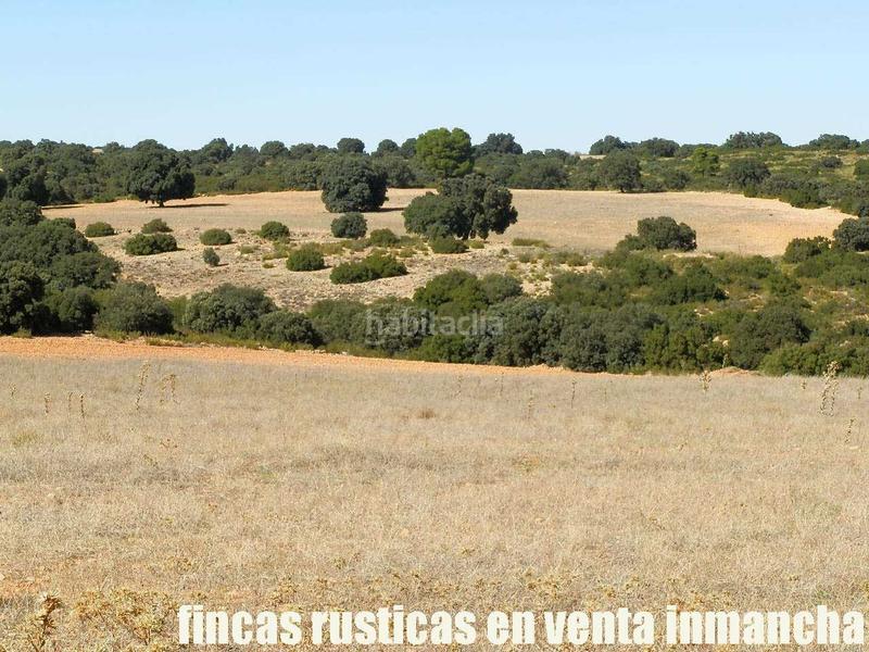 Foto d00b42b4-38c3-4cbc-bb65-c950519449dd. Finca rústica a San Antonio Abad Albacete