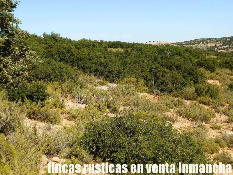 Foto fb1c2a50-fed8-4824-9203-9b4d95254052. Finca rústica a San Antonio Abad Albacete