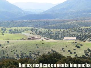 Propriété à Calzada de Calatrava. Finca en venta labor monte caza mayor granja cinegética caserío