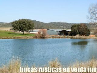 Propriété à Puebla de Don Rodrigo. Finca en venta labor ganadera monte caza mayor caserío en ciudad