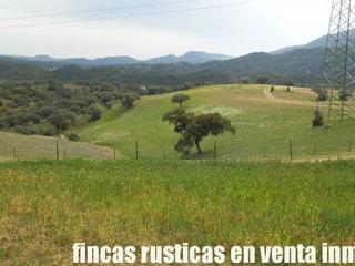 Propriété à Sector Sur. Finca en venta ganadera caza mayor en córdoba