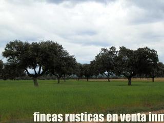 Finca rústica a Escalona. Finca en venta labor secano ganadera en toledo