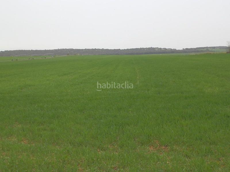 Foto 0b068cb0-a32c-4bc8-82b3-c227faf527f2. Fondo rustico in Centro - Plaza Mayor Ciudad Real