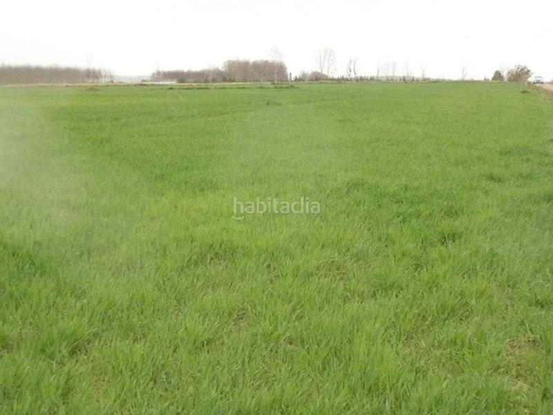 Foto 334ddb88-2c42-4251-bcf6-6e04cab667d0. Fondo rustico in Centro - Plaza Mayor Ciudad Real