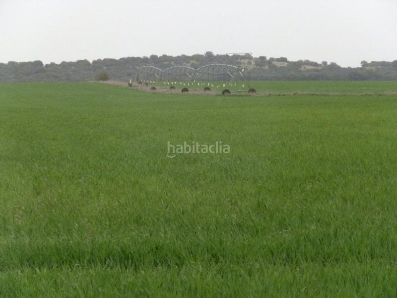 Foto 4f8b5c91-e488-4bcb-9a88-081f2a471efc. Fondo rustico in Centro - Plaza Mayor Ciudad Real