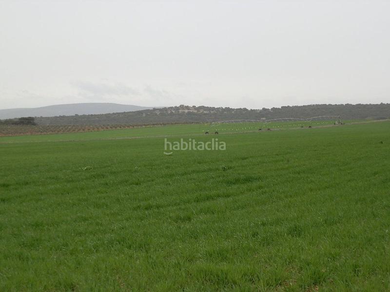 Foto 81fbda58-11a4-4a91-ae13-f356e805e8e0. Fondo rustico in Centro - Plaza Mayor Ciudad Real