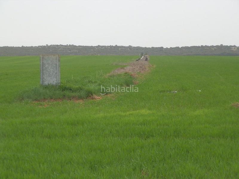 Foto 8e1752ca-9b2e-40dc-8e3e-c5941adf6437. Fondo rustico in Centro - Plaza Mayor Ciudad Real