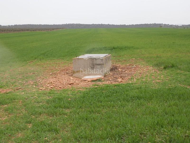 Foto 8ed5944b-5d05-432a-8ec8-83355432cbf3. Fondo rustico in Centro - Plaza Mayor Ciudad Real