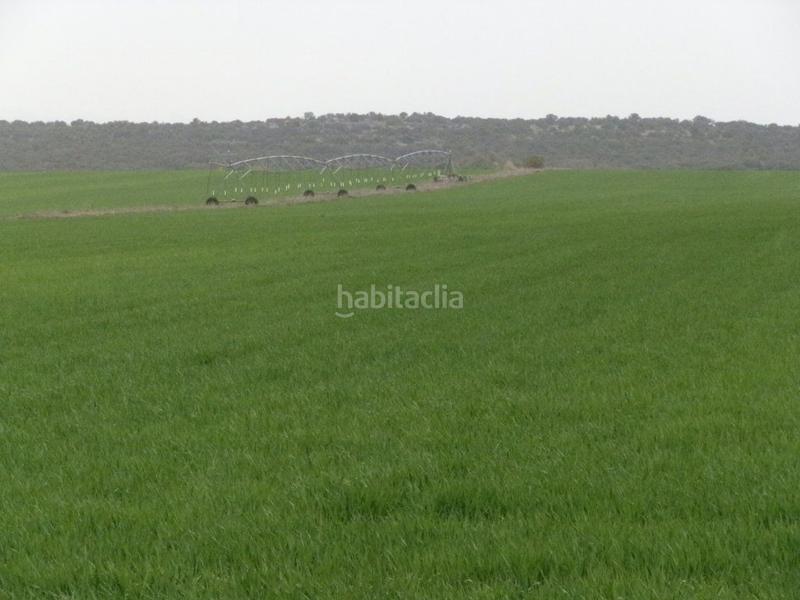 Foto fb8b3421-8e4c-4aa2-a9fd-cd4ec27f6ce8. Fondo rustico in Centro - Plaza Mayor Ciudad Real