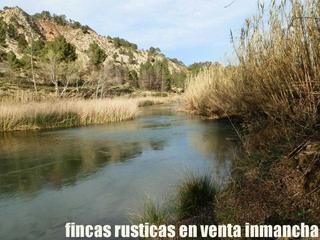 Finca rústica a Requena. Finca en venta caza mayor en albacete