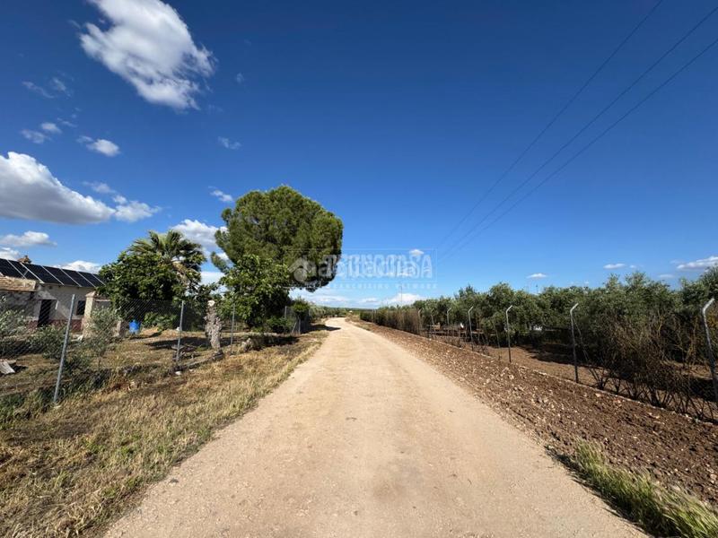 Foto 43548ab8-4c21-4ce8-8f5e-b77c43853c92. Finca rústica terrenos en venta en Écija