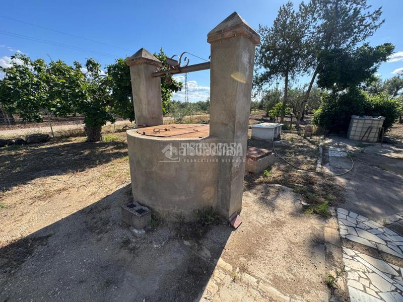 Foto 4a25c370-9bdb-4565-b4ff-668bcf247c3e. Finca rústica terrenos en venta en Écija