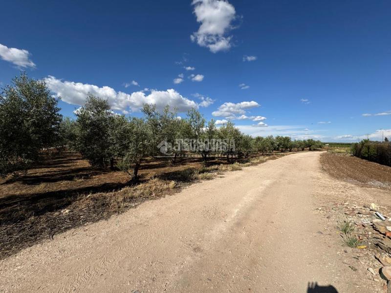 Foto 5bd986dc-c61e-4ca3-bcbd-849eb5001e69. Finca rústica terrenos en venta en Écija