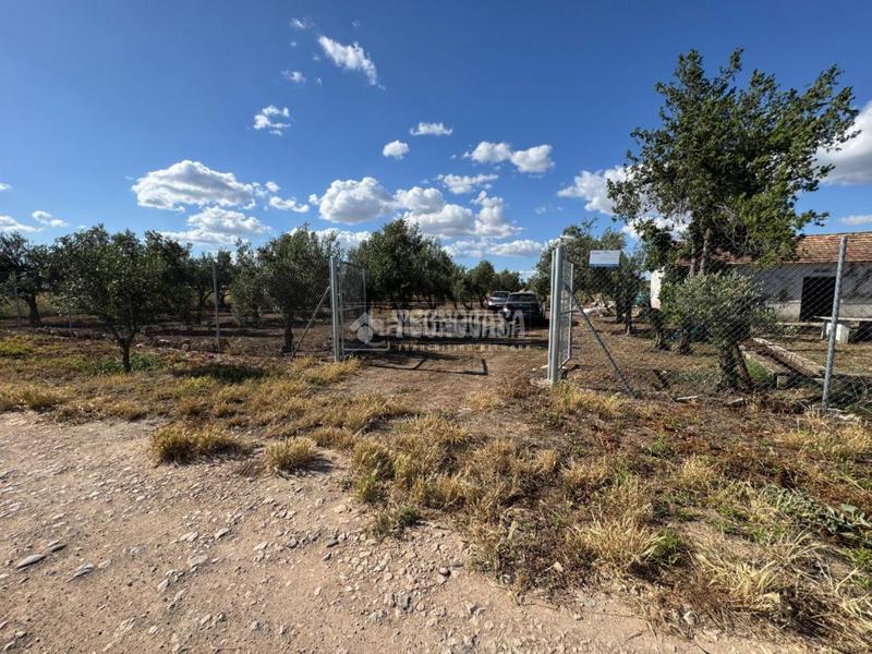 Foto 7af28fa0-e01d-47a6-bcdf-502b6e9f455d. Finca rústica terrenos en venta en Écija