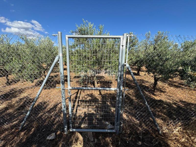 Foto 8219aab2-6260-41e2-9004-a7ebfa4fe772. Finca rústica terrenos en venta en Écija