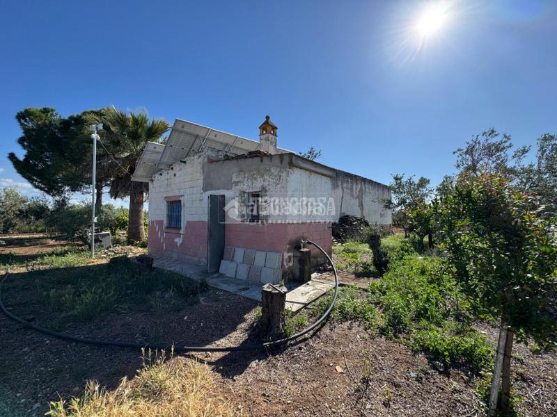 Foto 9d4fe864-c6a7-497c-a0be-b5cf214443d4. Finca rústica terrenos en venta en Écija